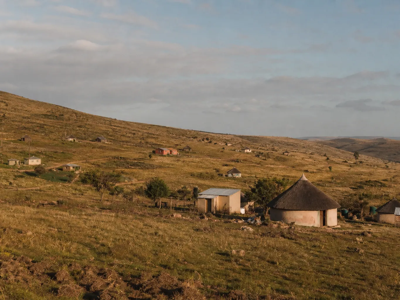An Eastern Cape landscape with scattered homesteads